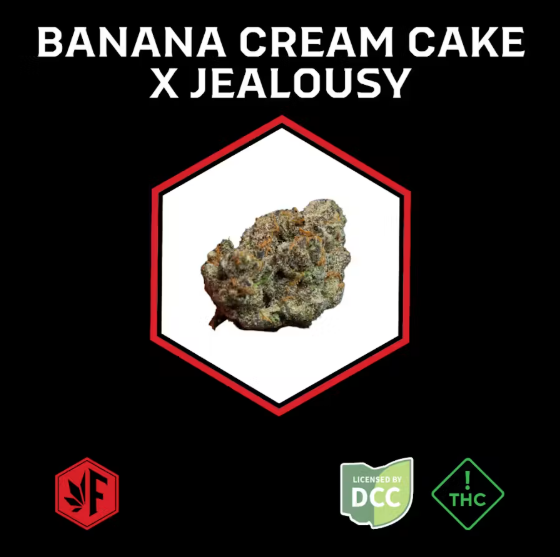 Banana Cream Cake X Jealousy H Flower
