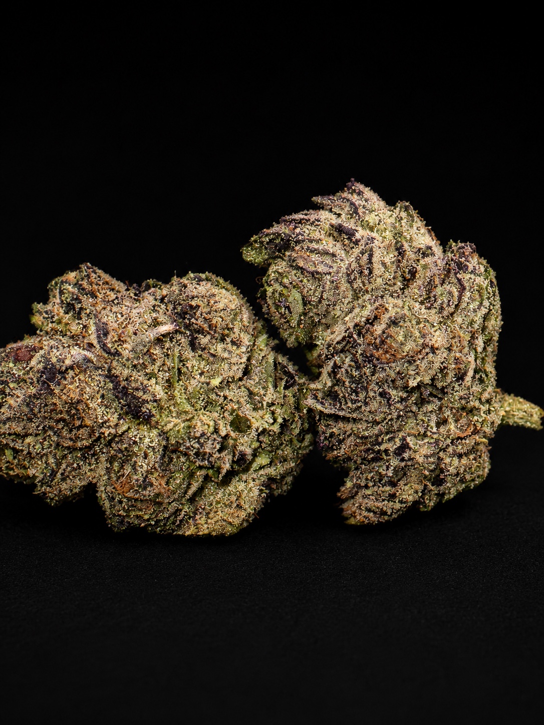 House of Trees - Super Buff Cherry - Flower