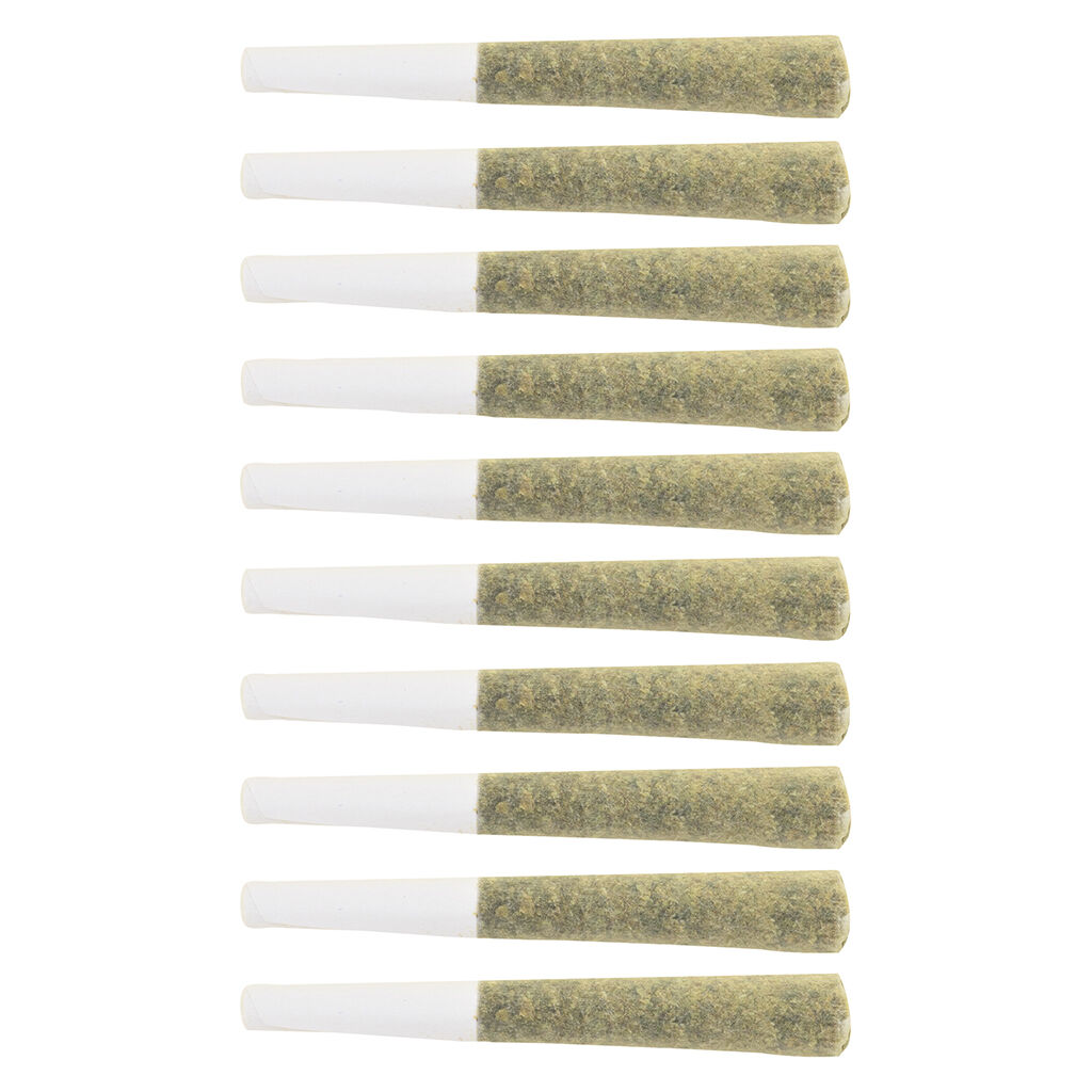 The Loud Plug - Exotic Gas Pre-Rolls - 20x0.5g