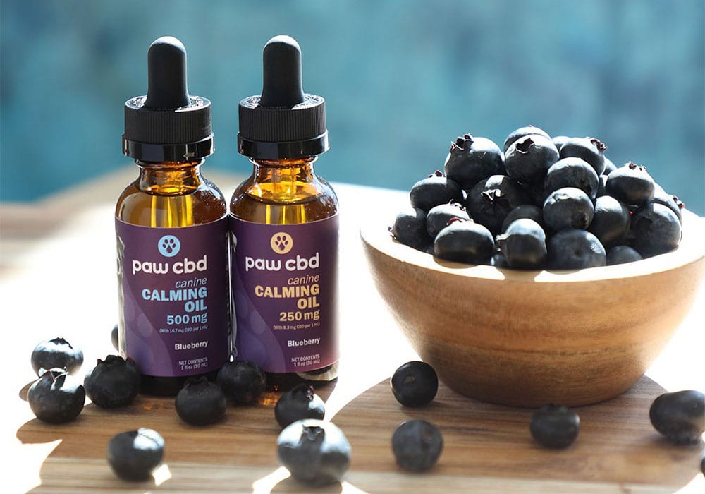 250mg CBD Canine Calming Hemp Oil Blueberry Flavor