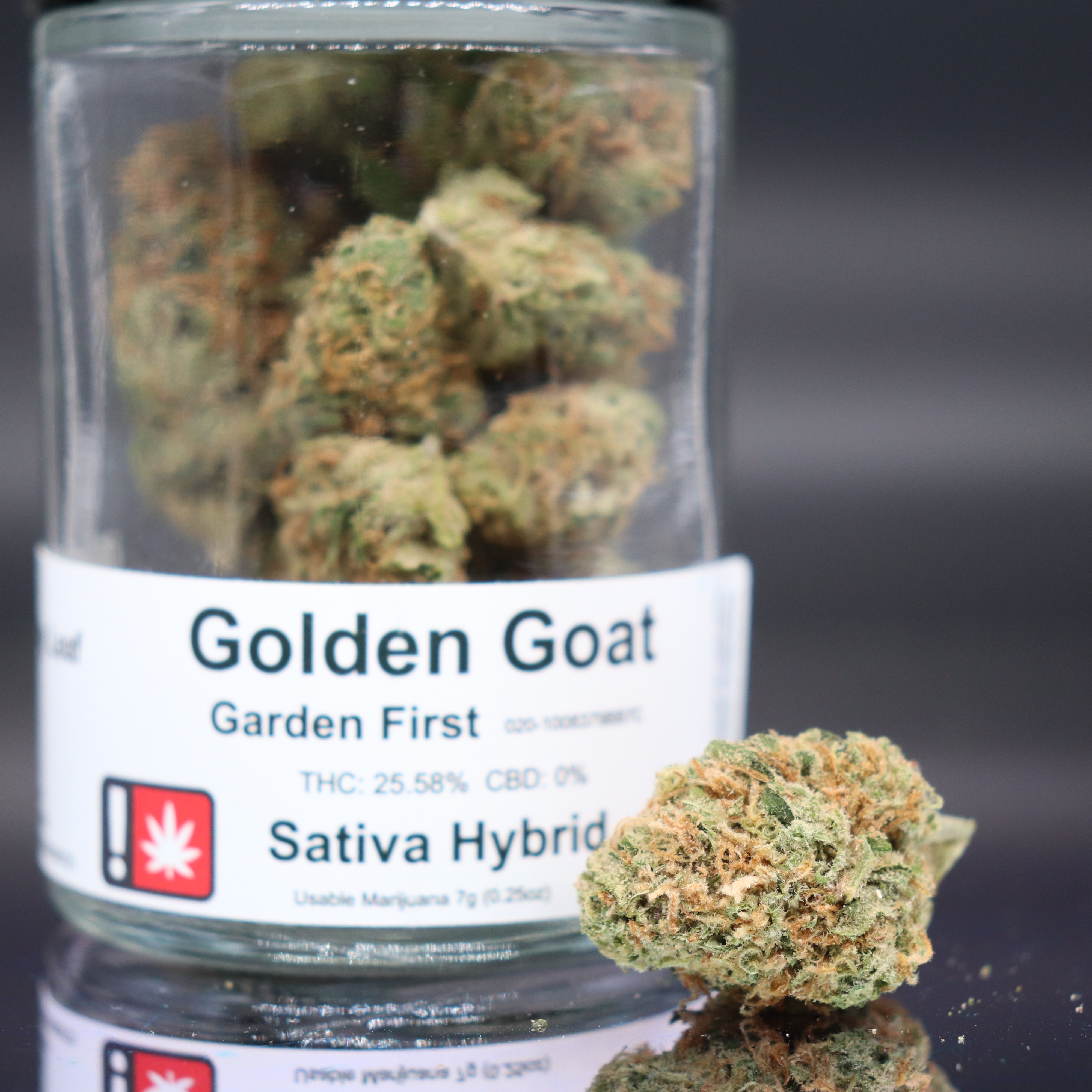 Golden Goat by