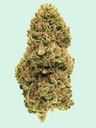 Great Lakes Leaf Perfect Triangle Flower