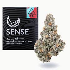 Sense Grown Premium Cannabis — Jar - Yuzu Sour