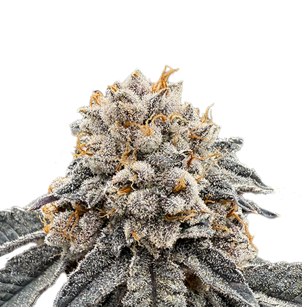 Victory Natural Farms - Lemon Runtz - 3. Flower