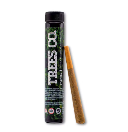 Eager Beaver: PreRoll