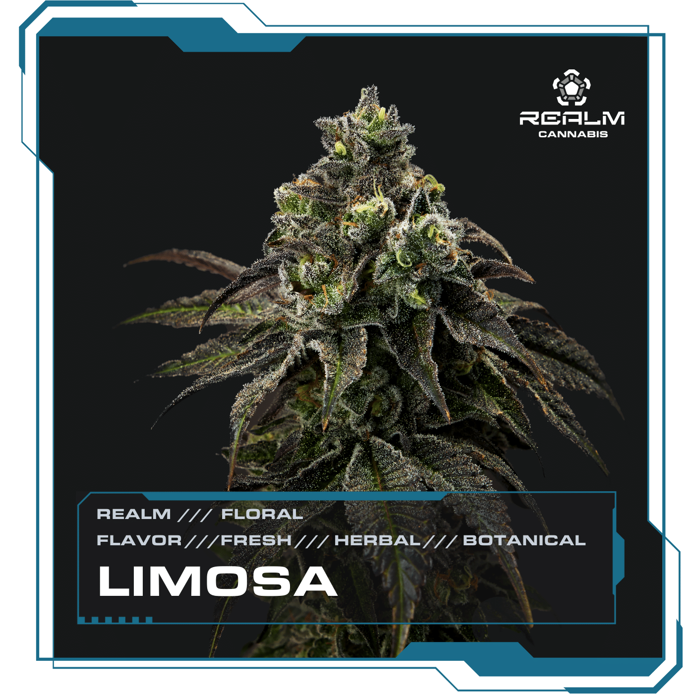 Limosa | Floral product photo