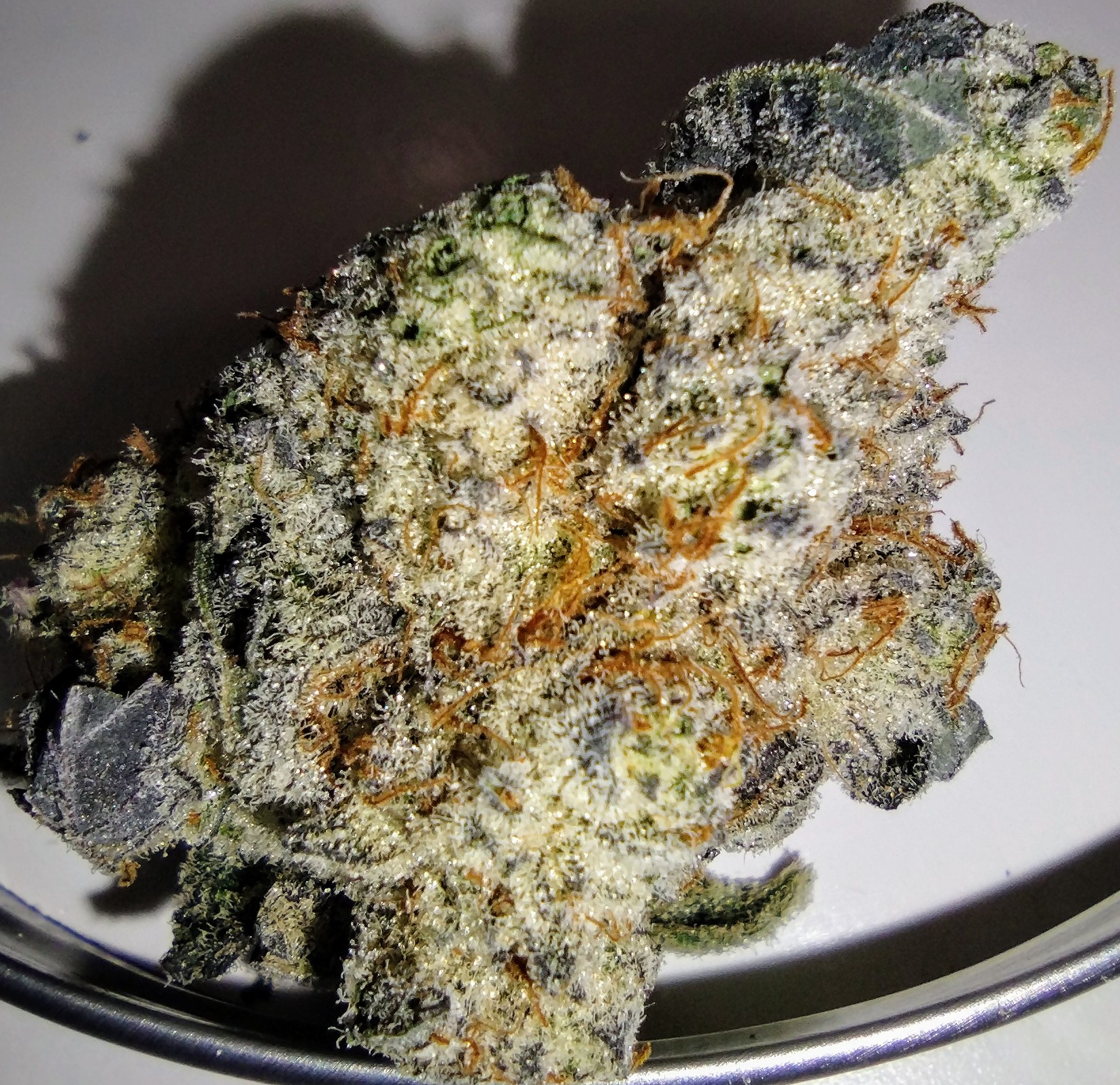 Pure Bliss Farms - Lemon Oreoz - 3.5g - Flower