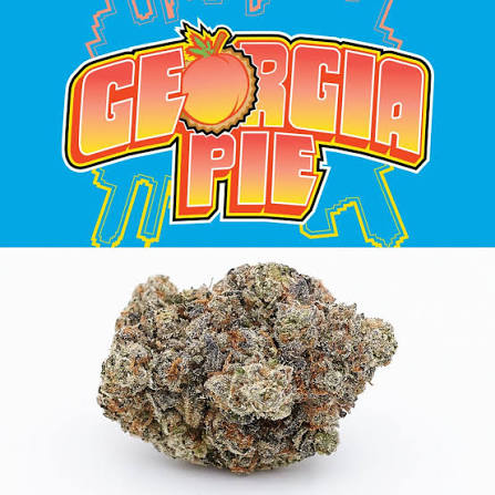Cookies Premium Buds | Georgia Pie | 3.5g (Indica)