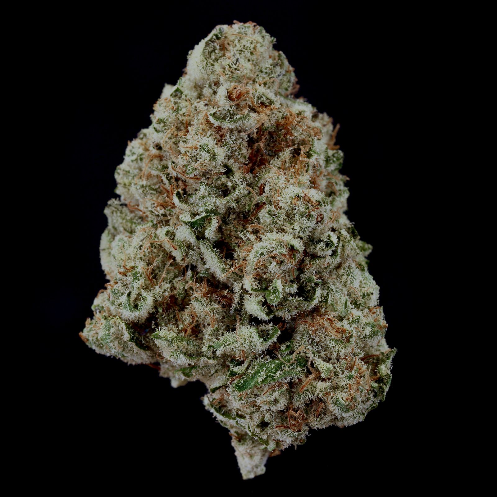 GL Bud | Party Animal
