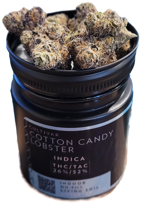 Cotton Candy Lobster Jar Mr.