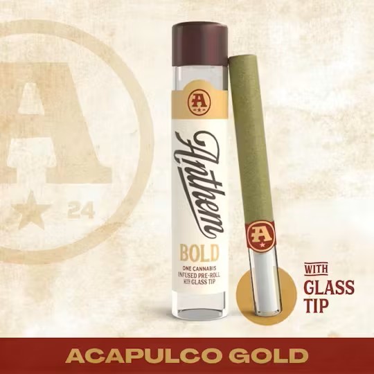 Bold | Acapulco Gold | Sativa | Glass Tip Infused Pre-Roll | 1g