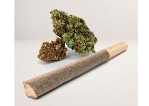 Paul Bunyan - Pre-roll 1g - Tangie Pop