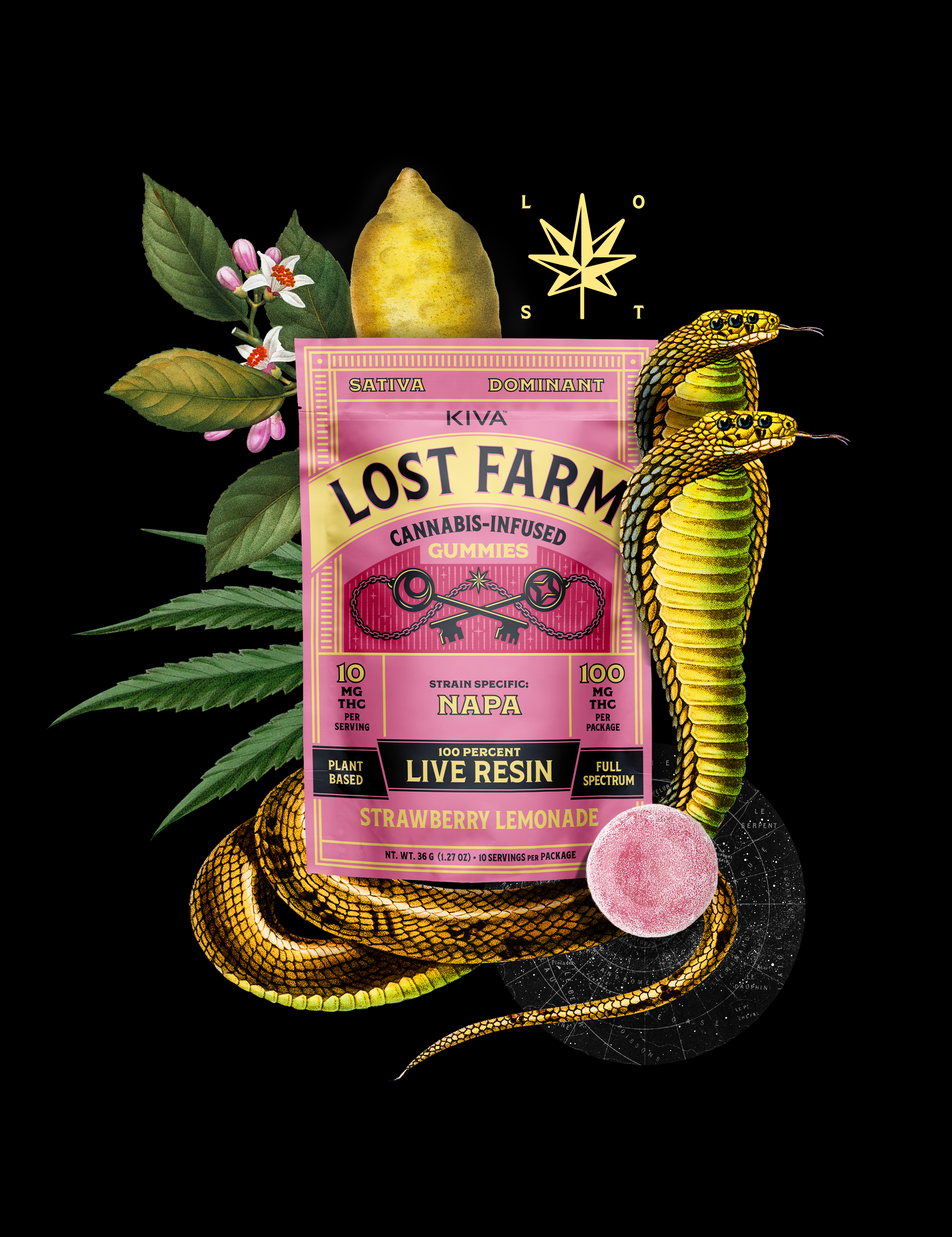 Gummies STRAWBERRY LEMONADE X NAPA RESIN 100mg(10ct)