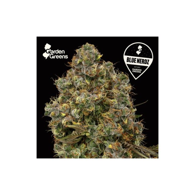 Garden Greens Blue Nerdz Flower (REC)