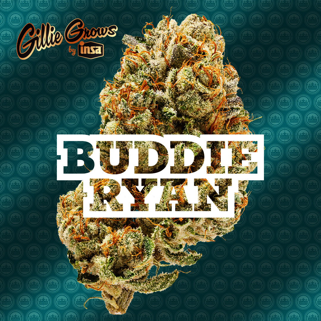 Buddie Ryan | 3.5g