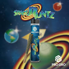 PRO GRO | SPACE RUNTZ | HYBRID | PRE-ROLL | 1G | REC