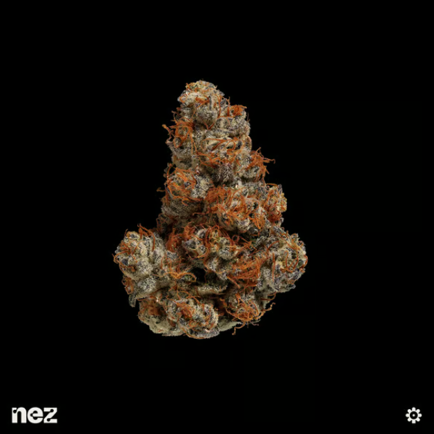 NEZ Swampwater Fumez