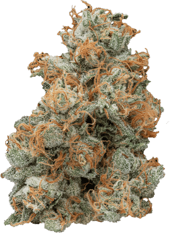Ghost OG | 3.5g