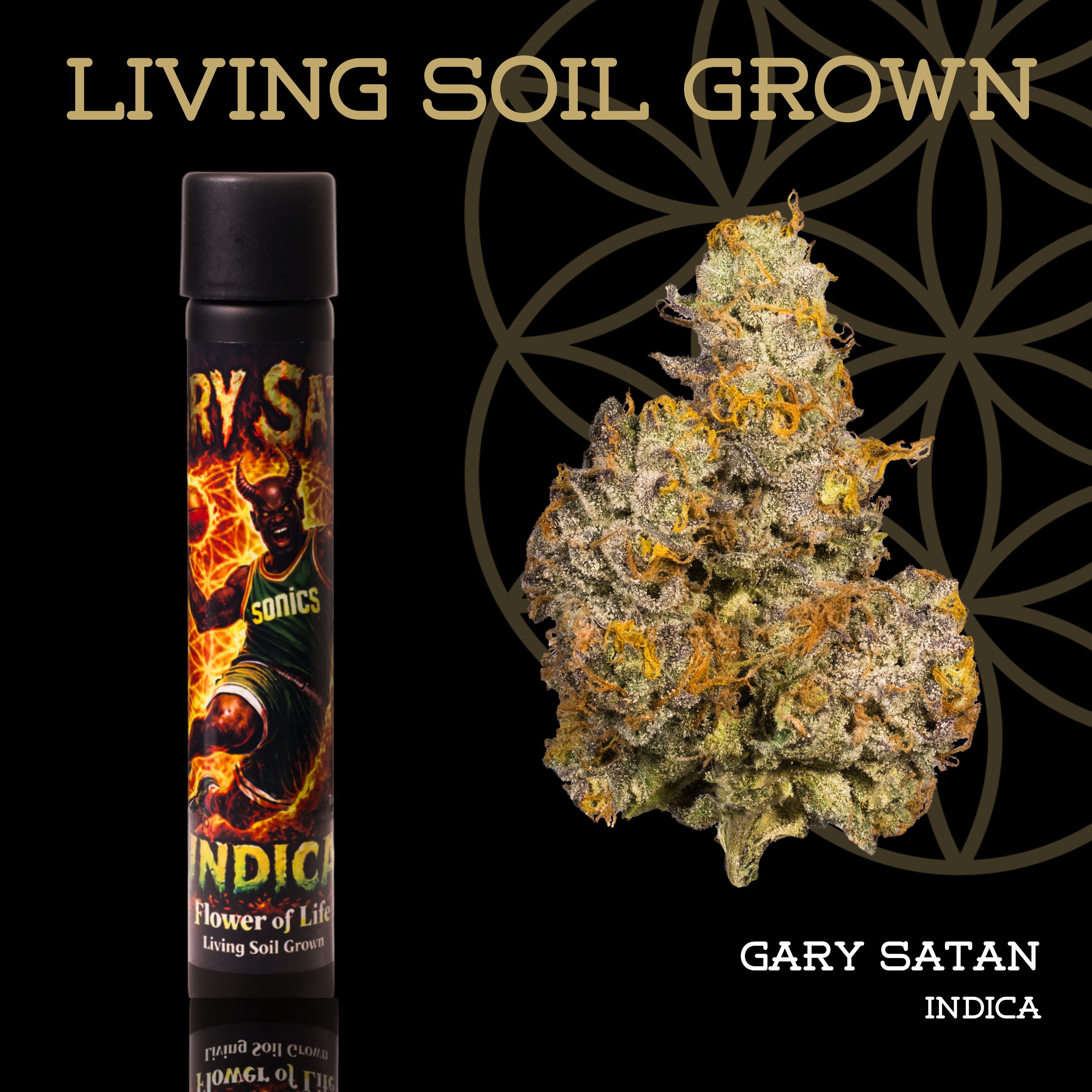 Pre-Roll - Gary Satan
