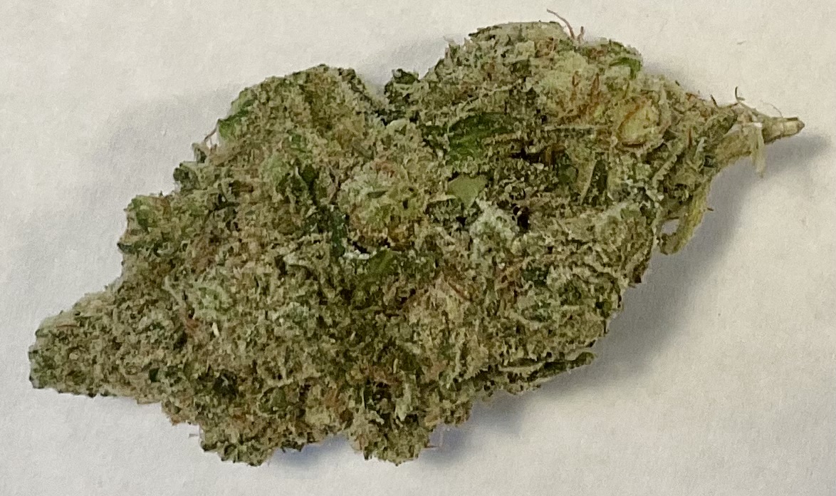 Otis Garden - Cap'n Jack - Top Shelf Flower