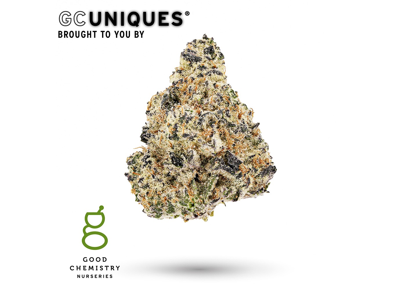 Dirty Turtle Flower - Good Chemistry