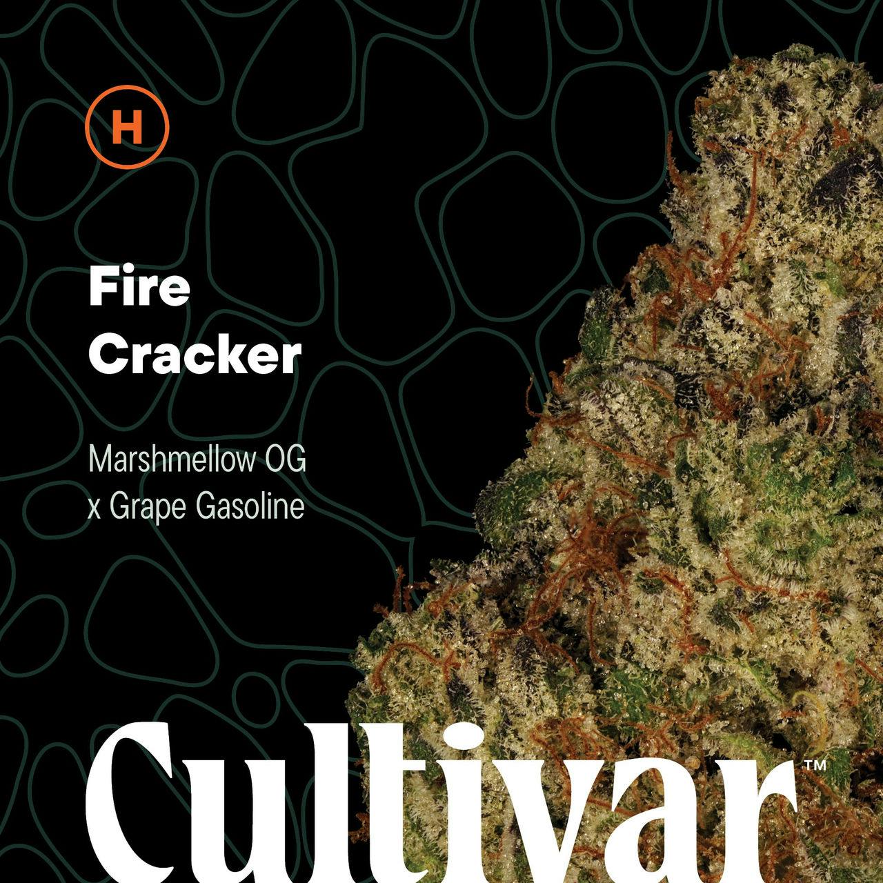 Firecracker - - Cultivar Collection House Packed