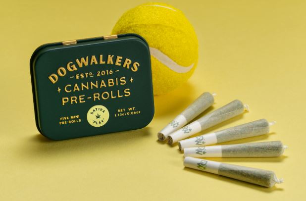 Gazzurple - .35g Pre-Roll 5pk - Dogwalkers