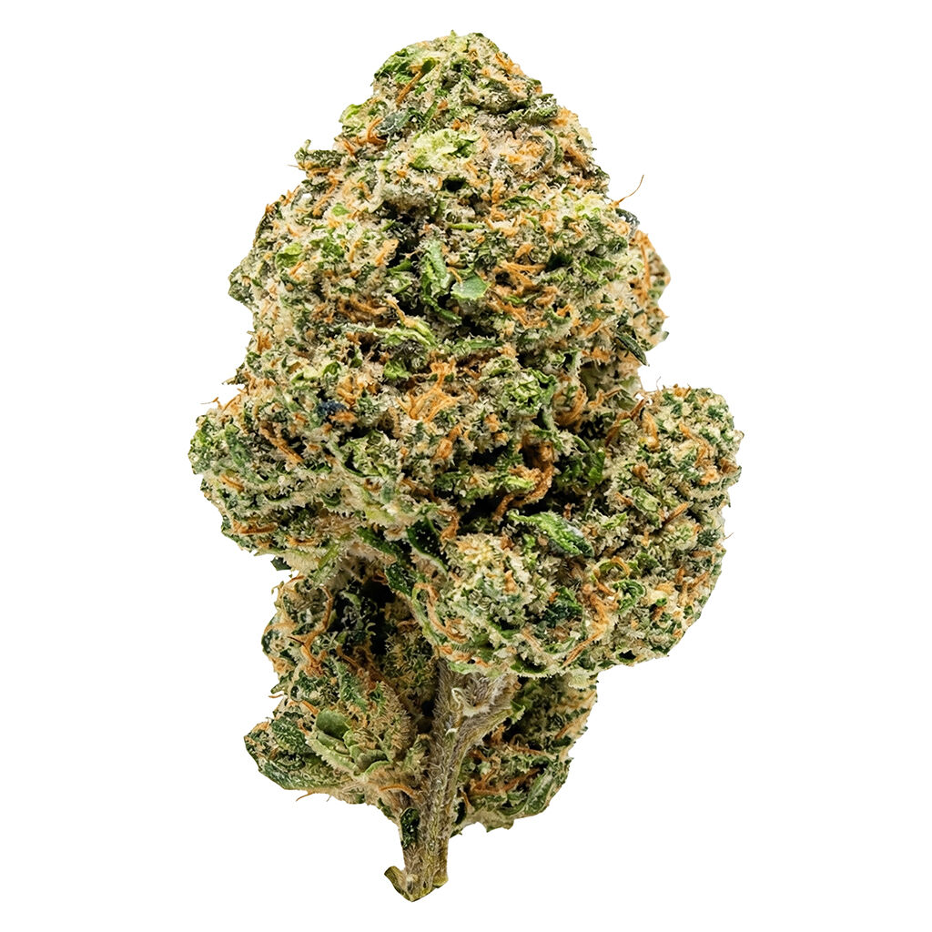 Moby Dick White Widow Haze