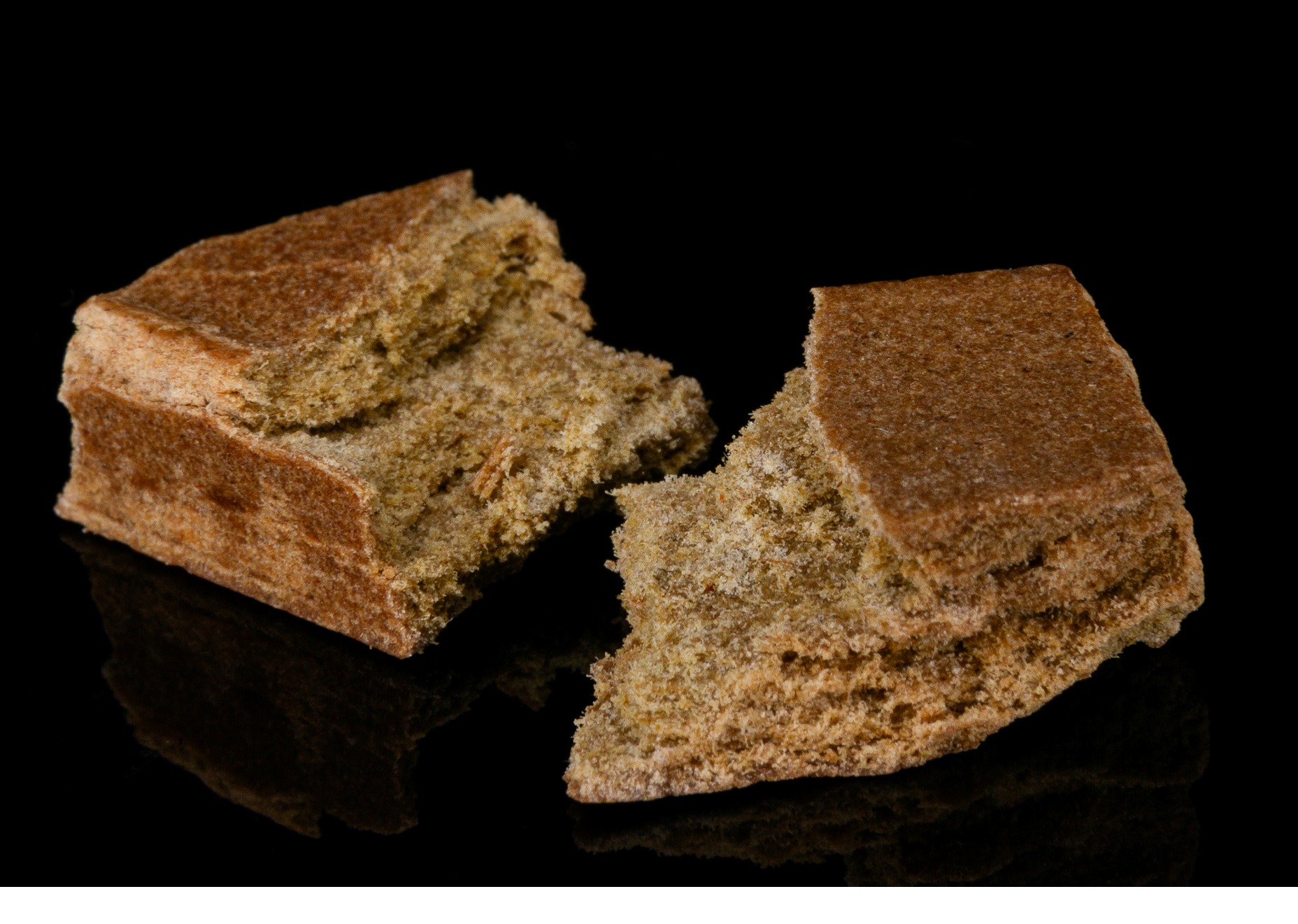 OSHC - Brick Hash - 1g - Animal Cookies - Hybrid