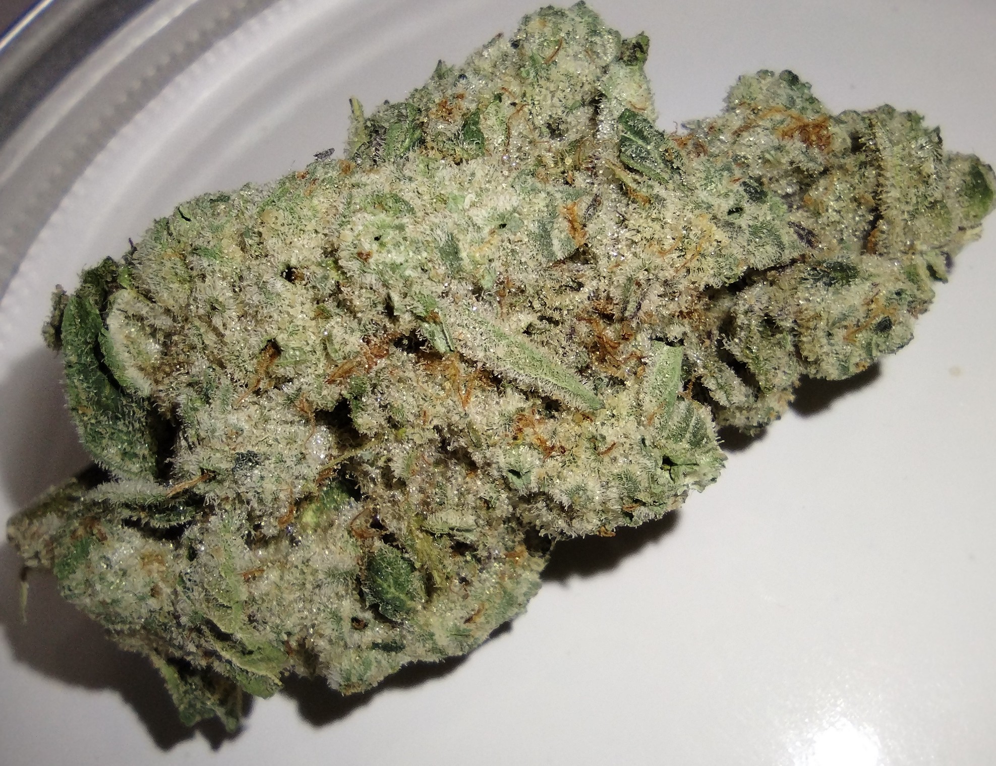 Big Sioux Bud - Cap Junky - 3.5g - Flower