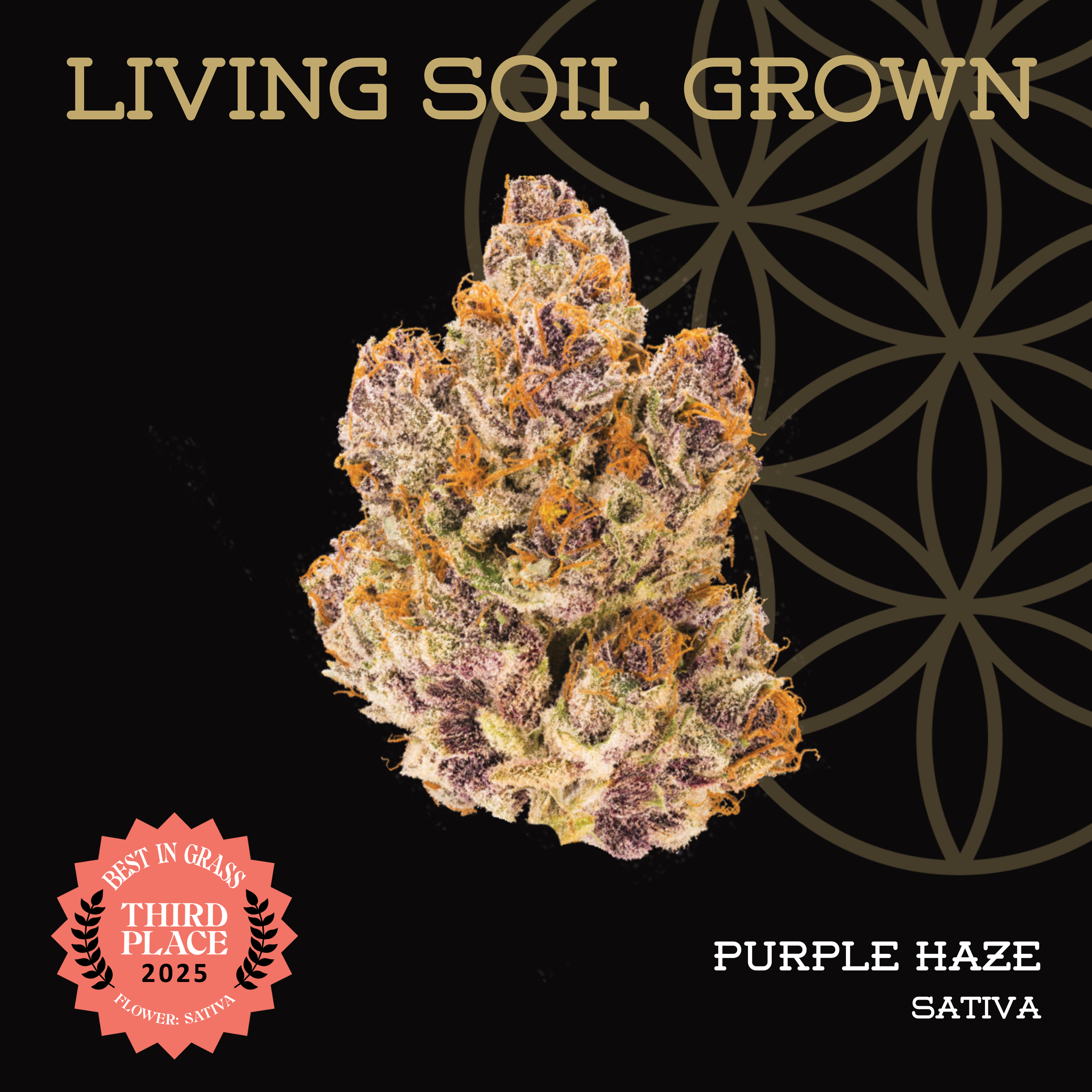 Purple Haze | Bulk Deli | Living Soil