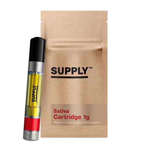 SinMint Cartridge - 1g