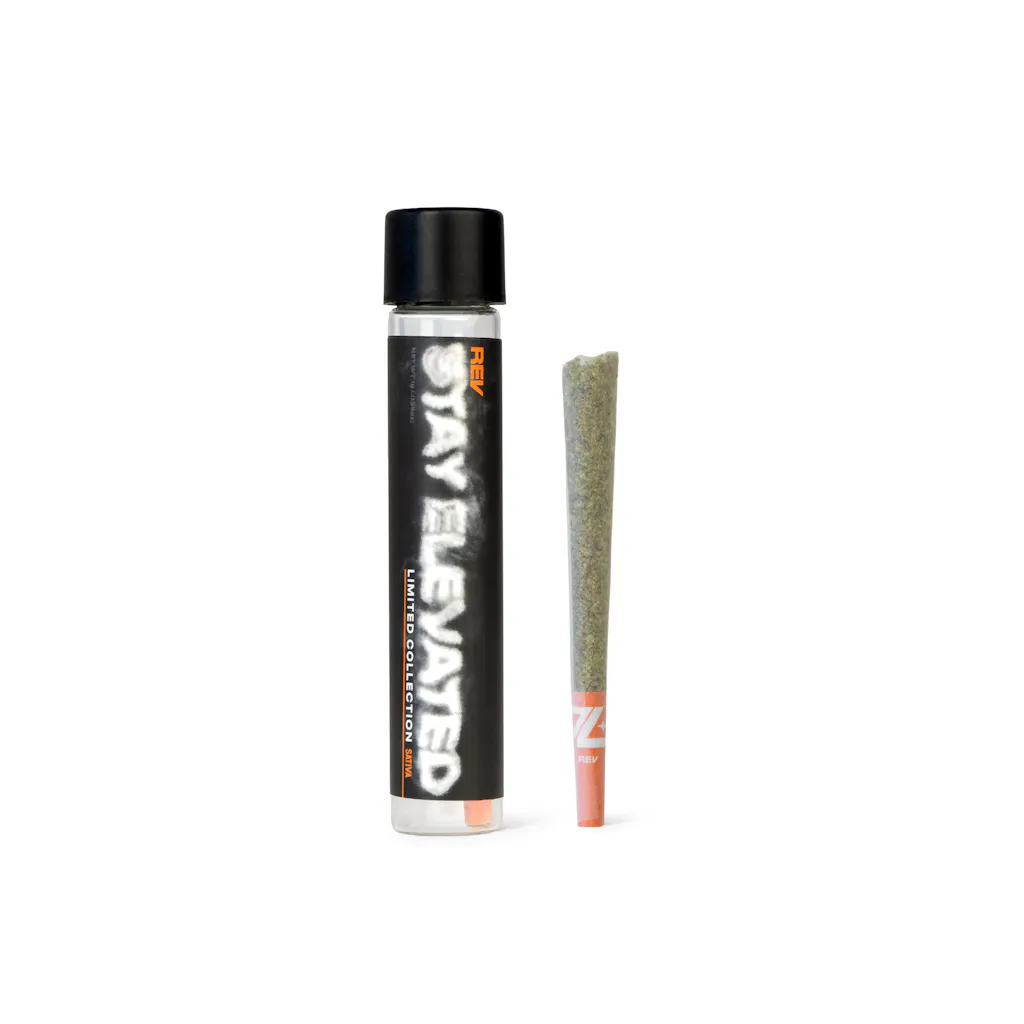 Stay Elevated | Rev - Illemonati