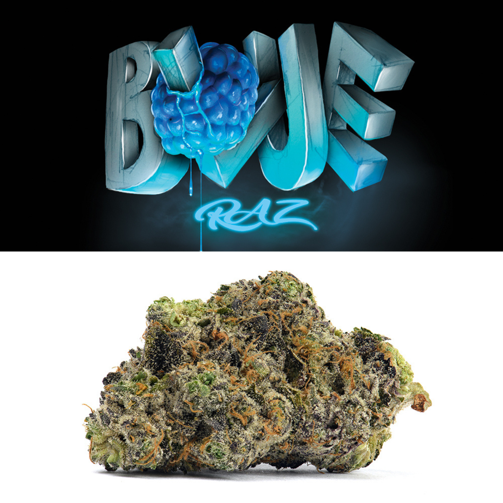 Cookies Premium Bud Blue Raz