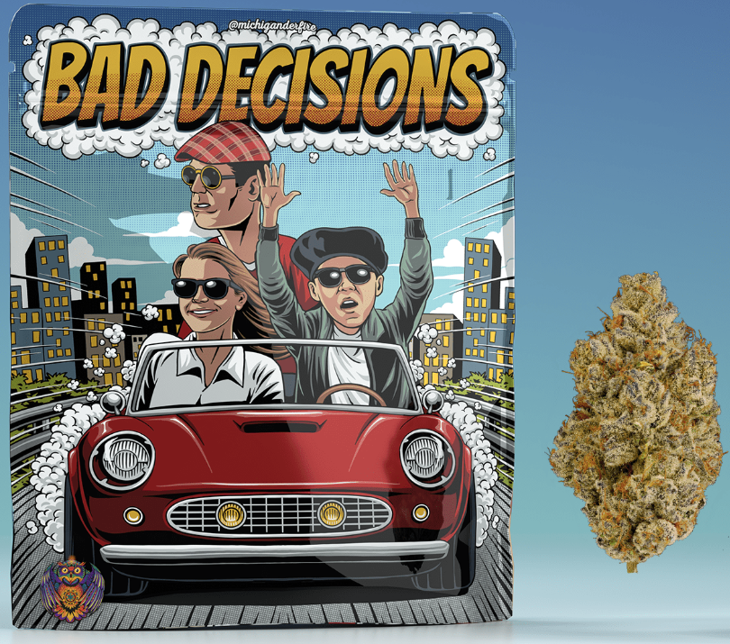 Michigander Fire - Bad Decisions