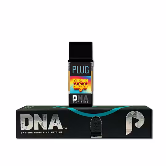 Plug Play — N Play - Durban Delight - Dist