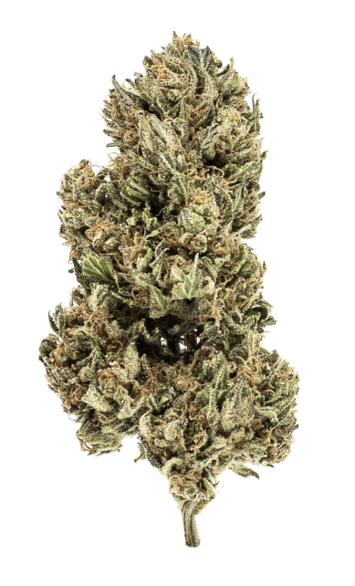 Marmalade | Flower | 3.