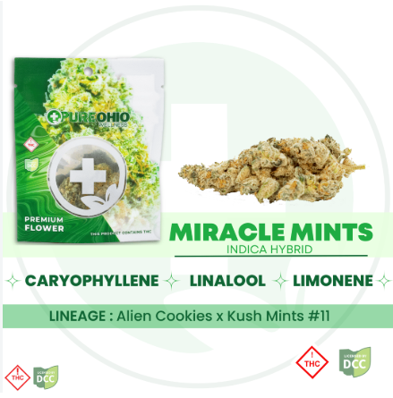 Miracle Mints
