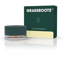 Live Sugar Moonbeam Gelato