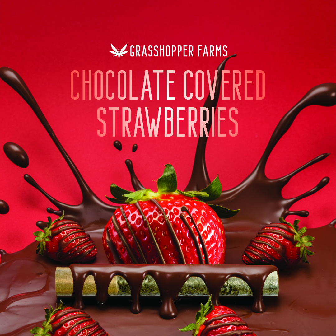 Grasshopper Infused Pre-Roll Chocolate Covered Strawberry