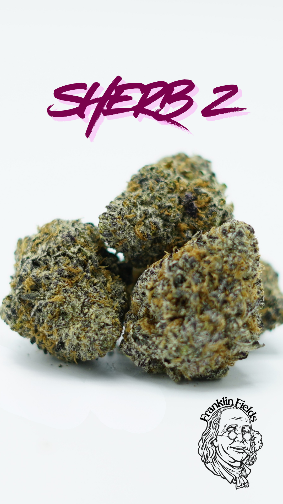 FRANKLIN FIELDS | BULK FLOWER | SHERBZ