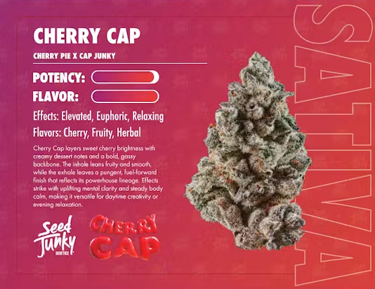 Seed Junky - Cherry Cap (s) - 14g