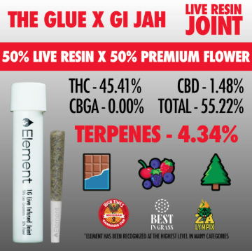 The Glue x Gi Jah