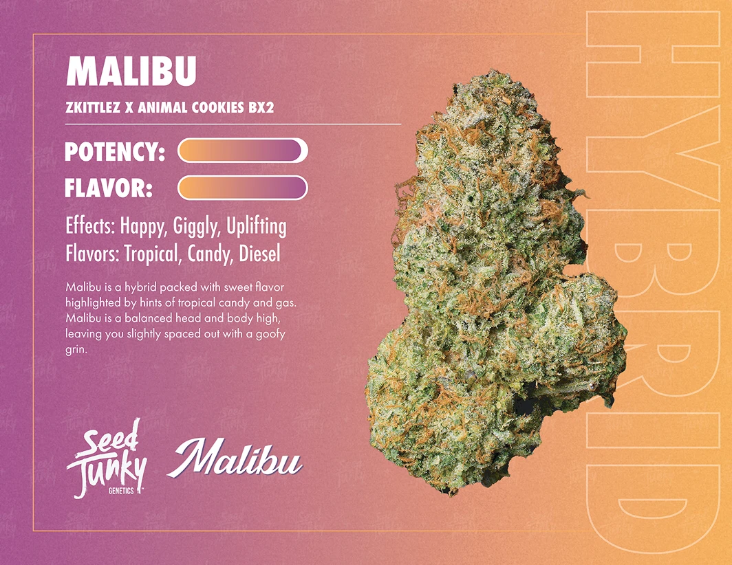 SEED JUNKY | MALIBU