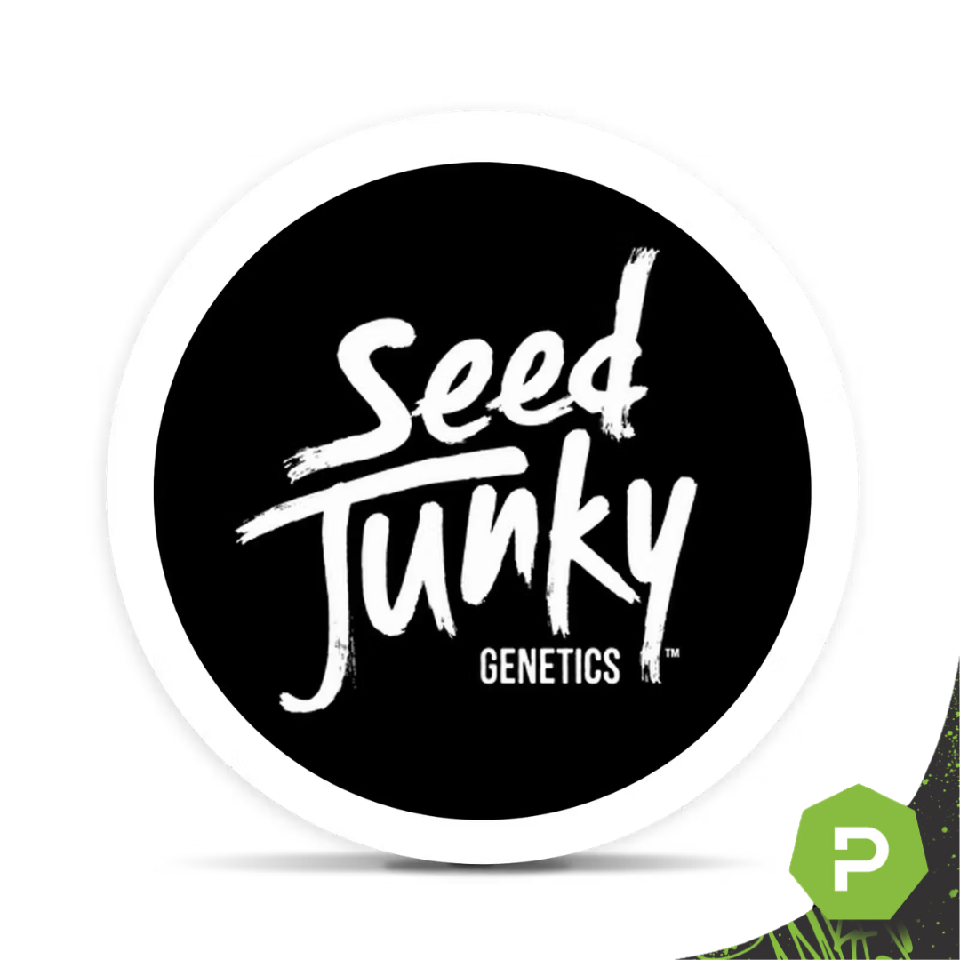 Seed Junky | 1g Pre-Roll | Hollywood Pure Kush
