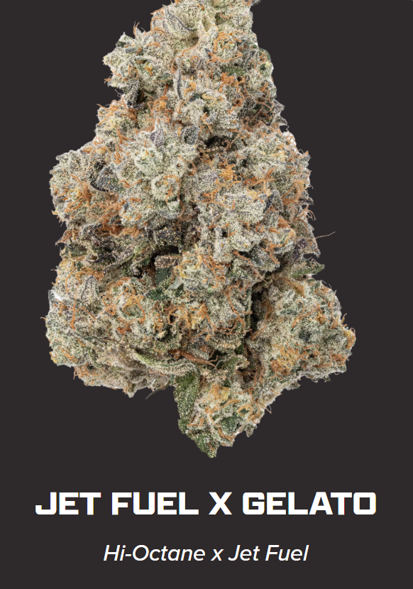 ZIPS | Jet Fuel x Gelato