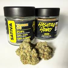 Tangie Og (S)
