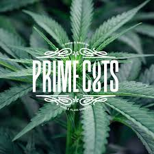 Prime cuts nursery -Pablo's Revenge