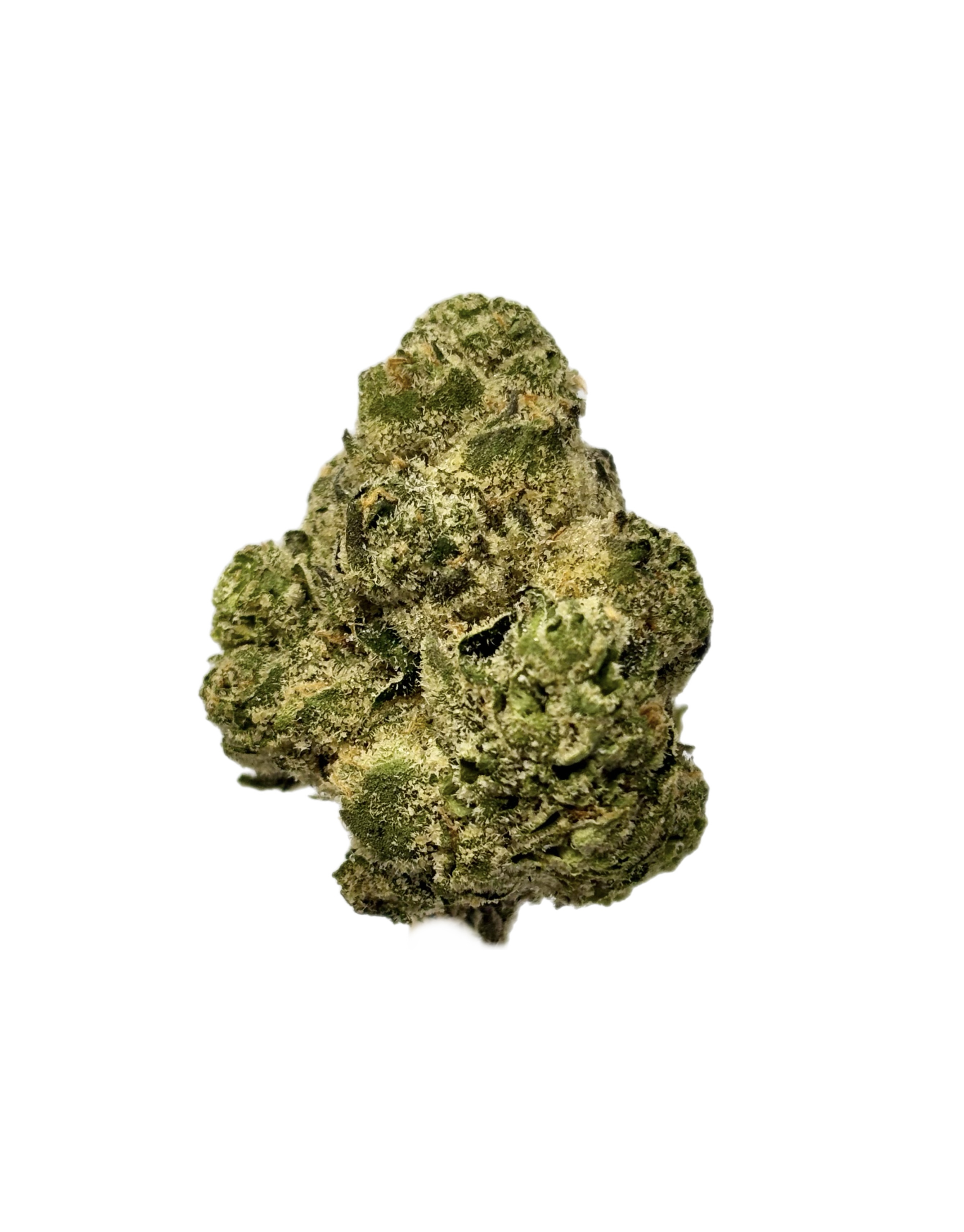 Seed Junky | Wild Cherry | Bulk Flower | Diamond Tier