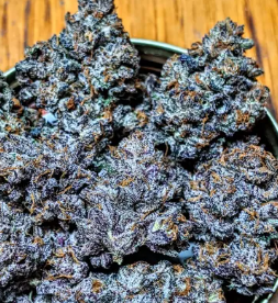 Sherb Cream Pie Flower